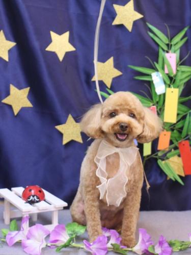 20230727パンちゃん